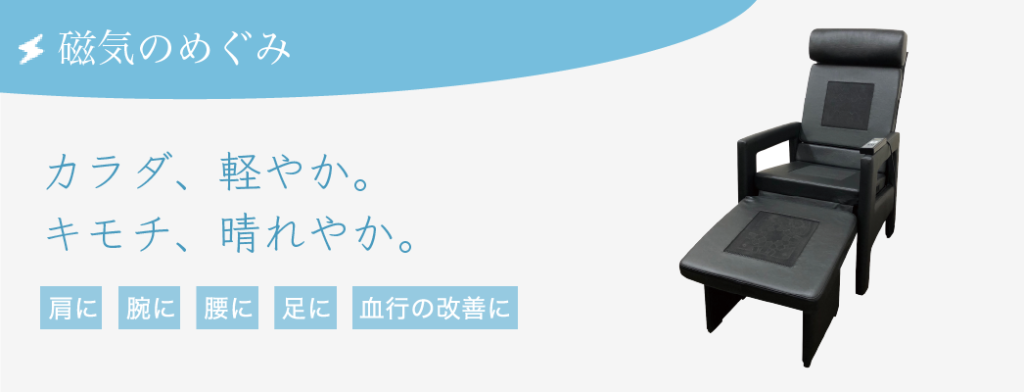 25074円 大幅値下げランキング 家庭用電気磁気カイロ